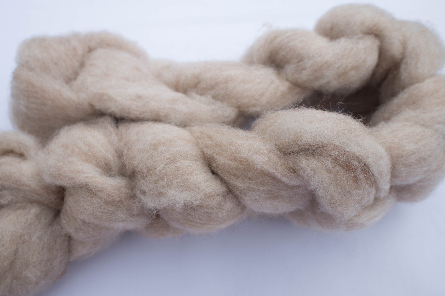 Roving - Romeldale-Rehkitz