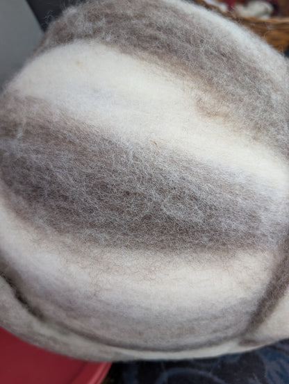 Variegated grey and white Romney cross roving